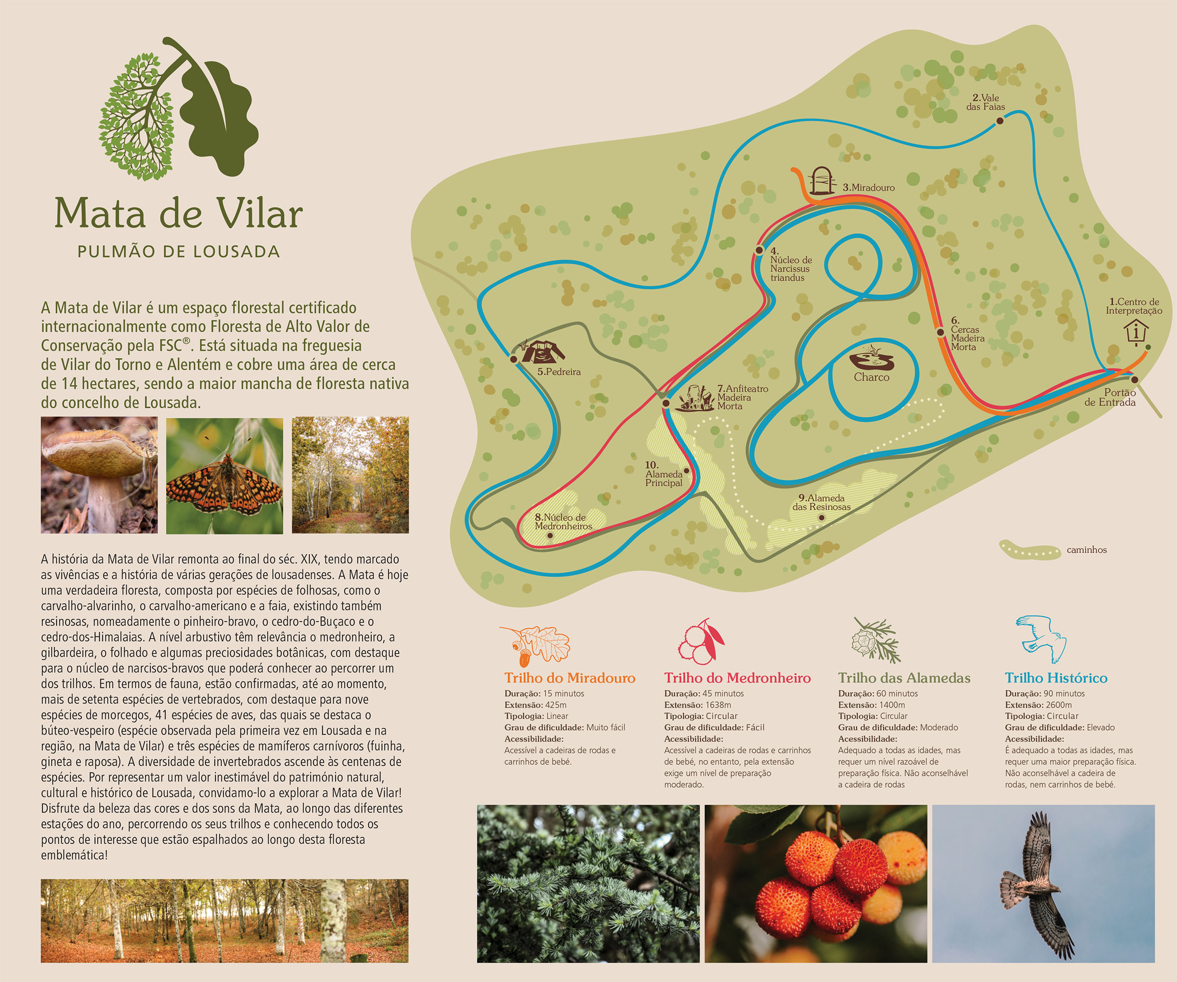 desenvolvimento_painel_V3